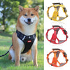 Harnais Robuste & Confortable pour Chien - ActivePup™