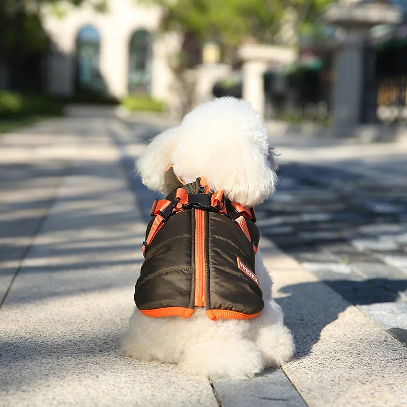 VivaPet Gilet d'hiver | Manteau imperméable avec harnais pour chihuahua, yorkshire et autres petits chiens