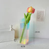 AquaLuxe Élégante Vase en Acrylique | Vase à contraste rose et bleu époustouflant pour une décoration intérieure moderne et une touche artistique