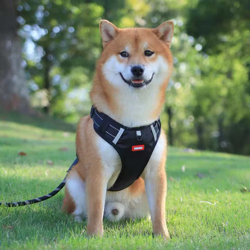 Harnais Robuste & Confortable pour Chien - ActivePup™