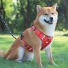 Harnais Robuste & Confortable pour Chien - ActivePup™