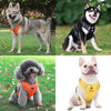 Harnais Robuste & Confortable pour Chien - ActivePup™