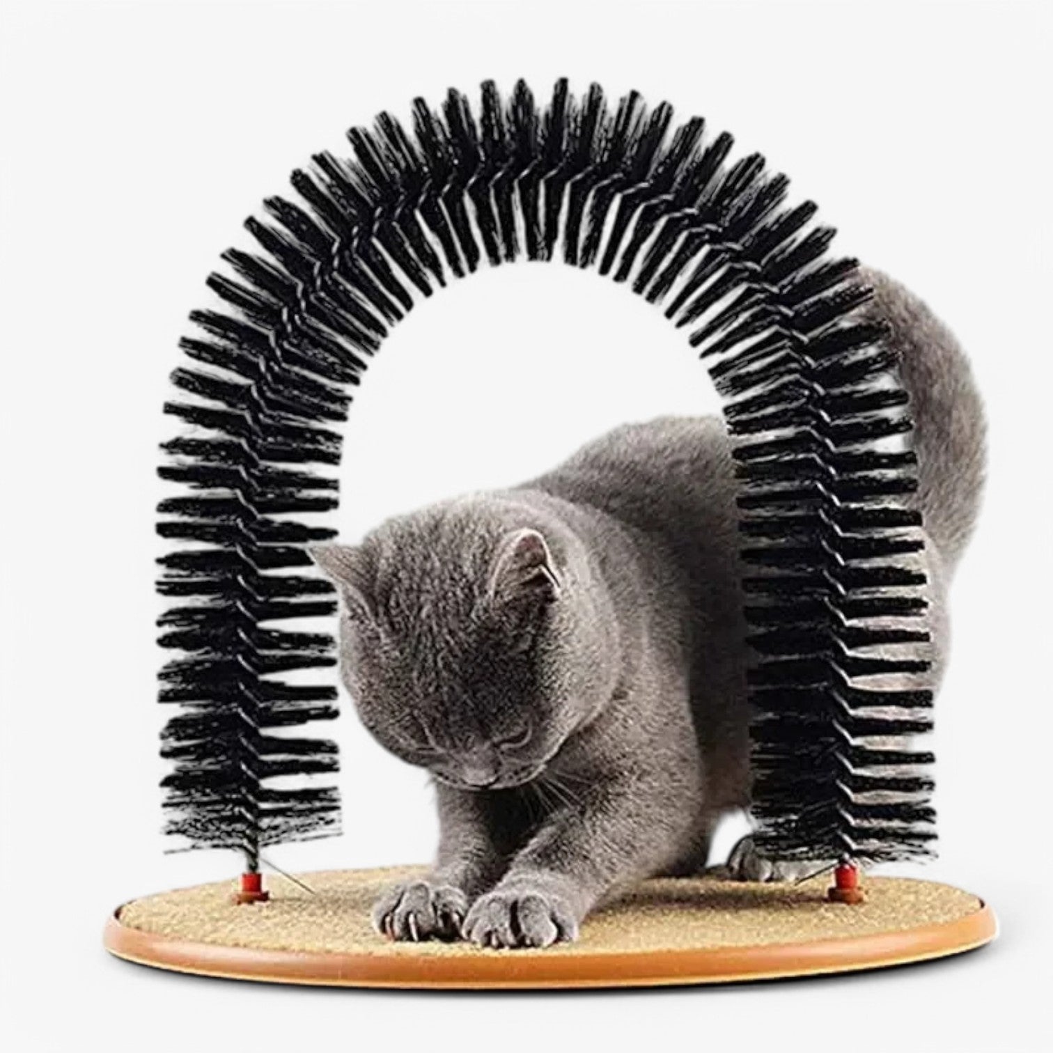 Arc de soin et de massage pour chats – Mira