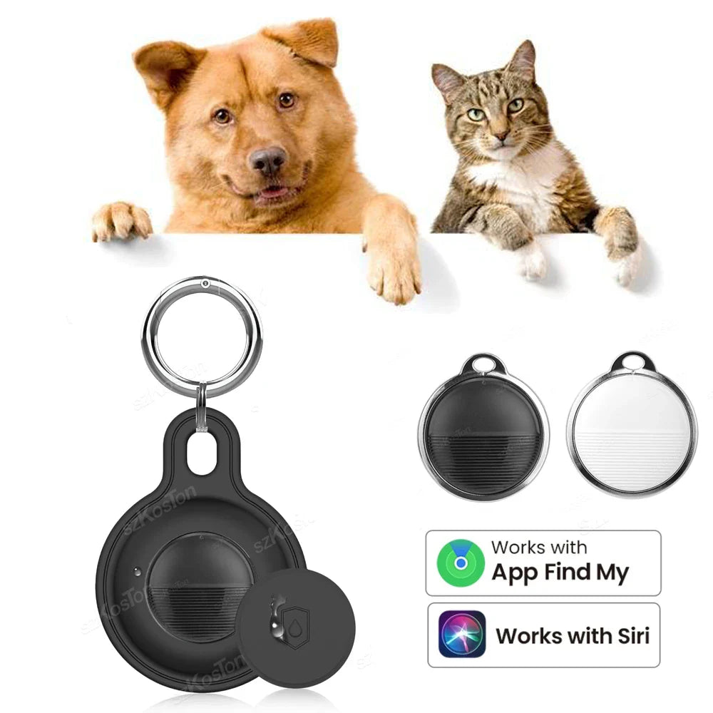 Ziggy Suivi d'Animal de Compagnie – Pour des aventures sans souci