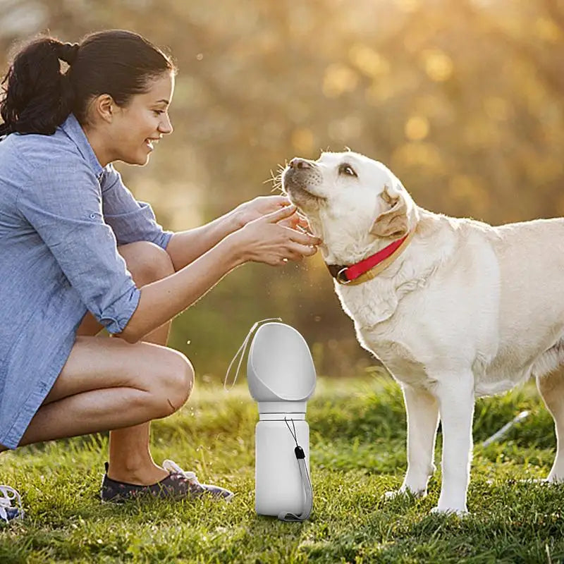 AquaPaw Luxe Bouteille d'Hydratation Canine | Élégante bouteille d'eau portable avec bol intégré pour les aventures en plein air et l'hydratation en déplacement