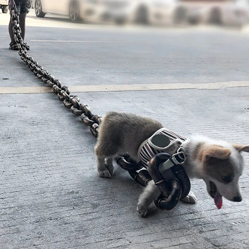 ChainLeash | La ceinture qui allie mode et fonction