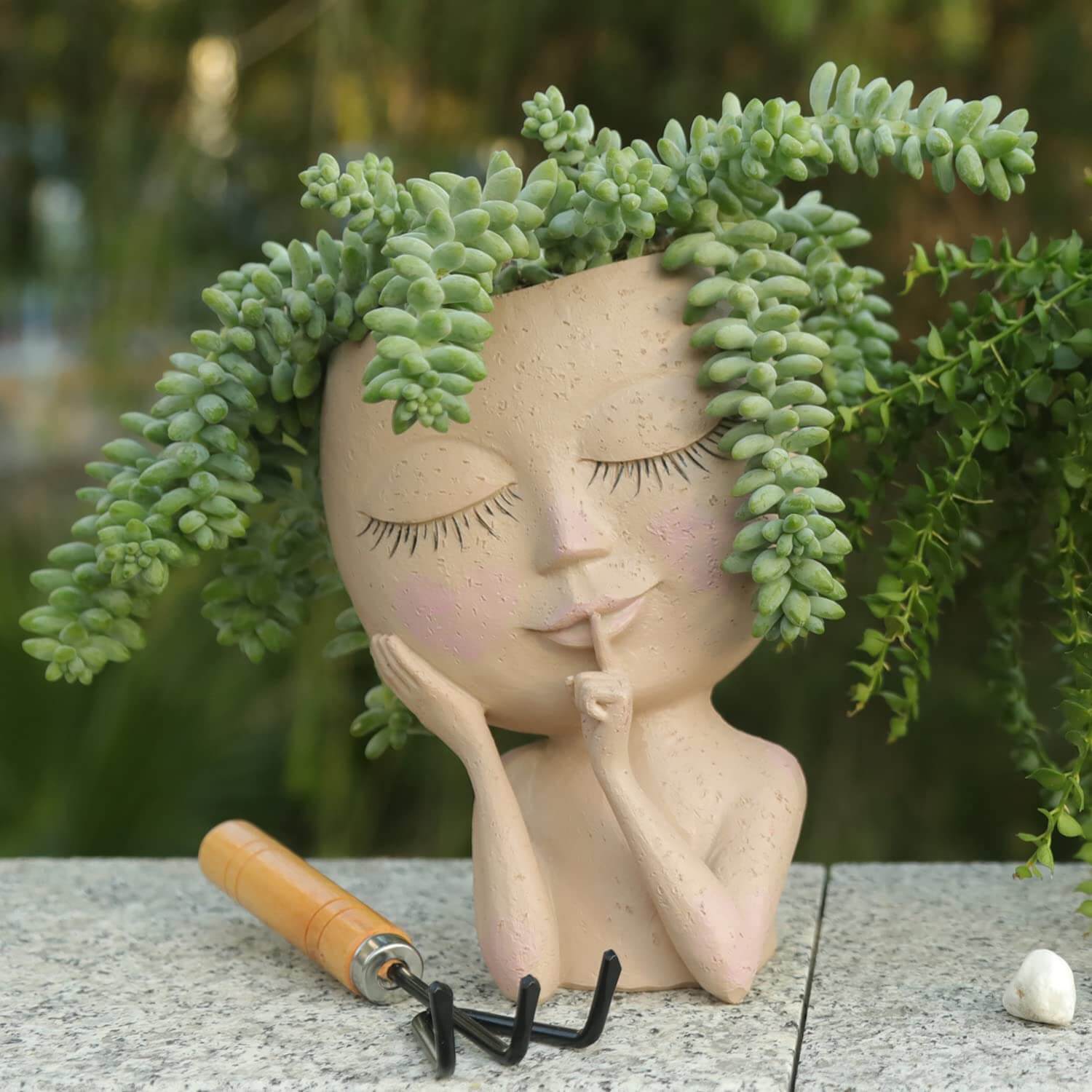 Botanique Bliss | Succulente enchanteresse de caractèr