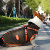 VivaPet Gilet d'hiver | Manteau imperméable avec harnais pour chihuahua, yorkshire et autres petits chiens