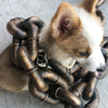 ChainLeash | La ceinture qui allie mode et fonction