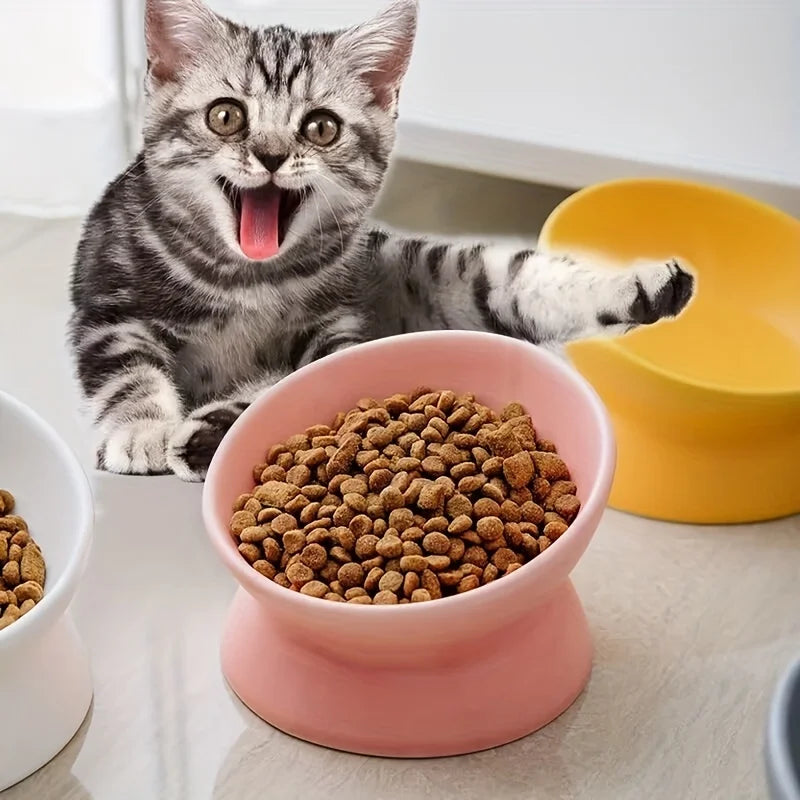 Bol en céramique pour chien et chat