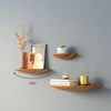 Étagère murale semi-circulaire WoodVogue | Étagère en bois haut de gamme pour l'affichage et le rangement de projecteurs