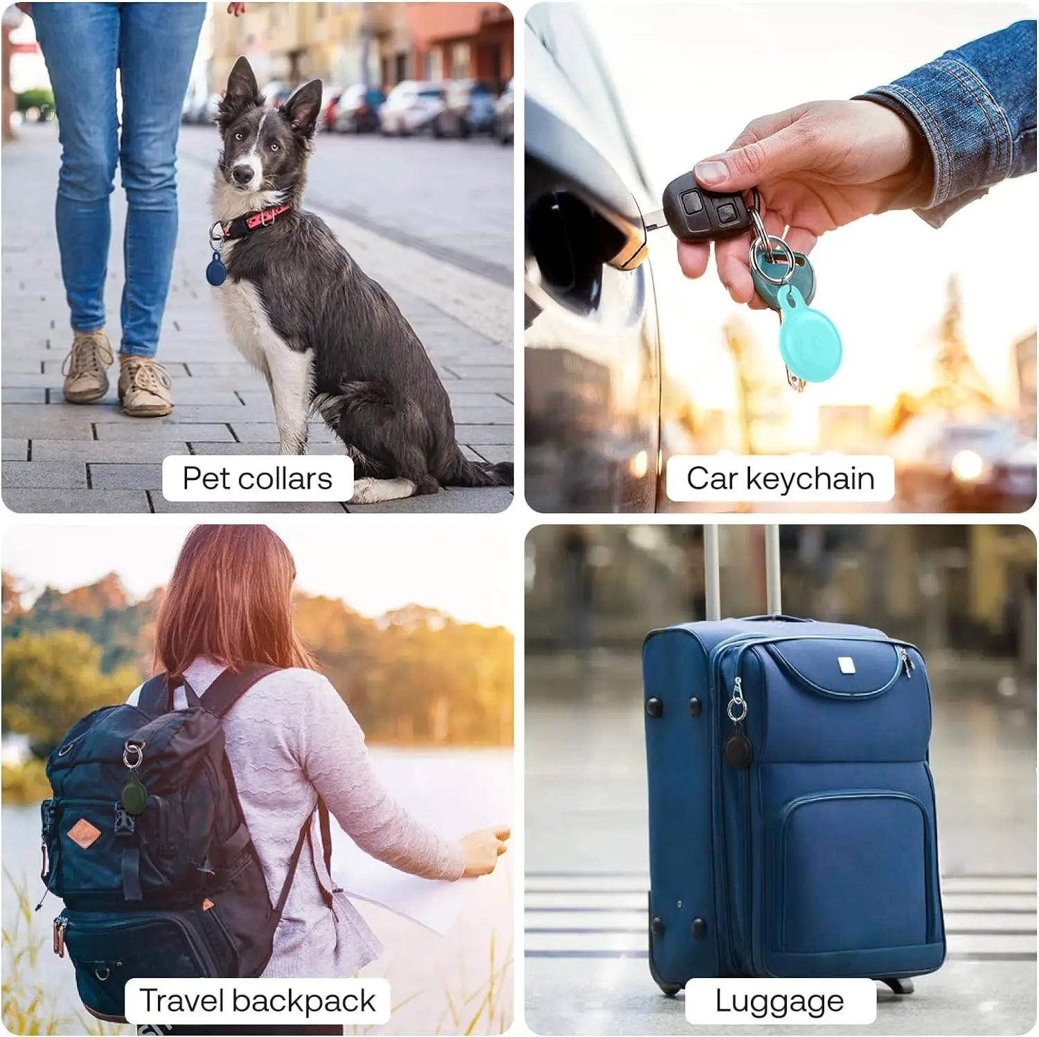 Ziggy Suivi d'Animal de Compagnie – Pour des aventures sans souci