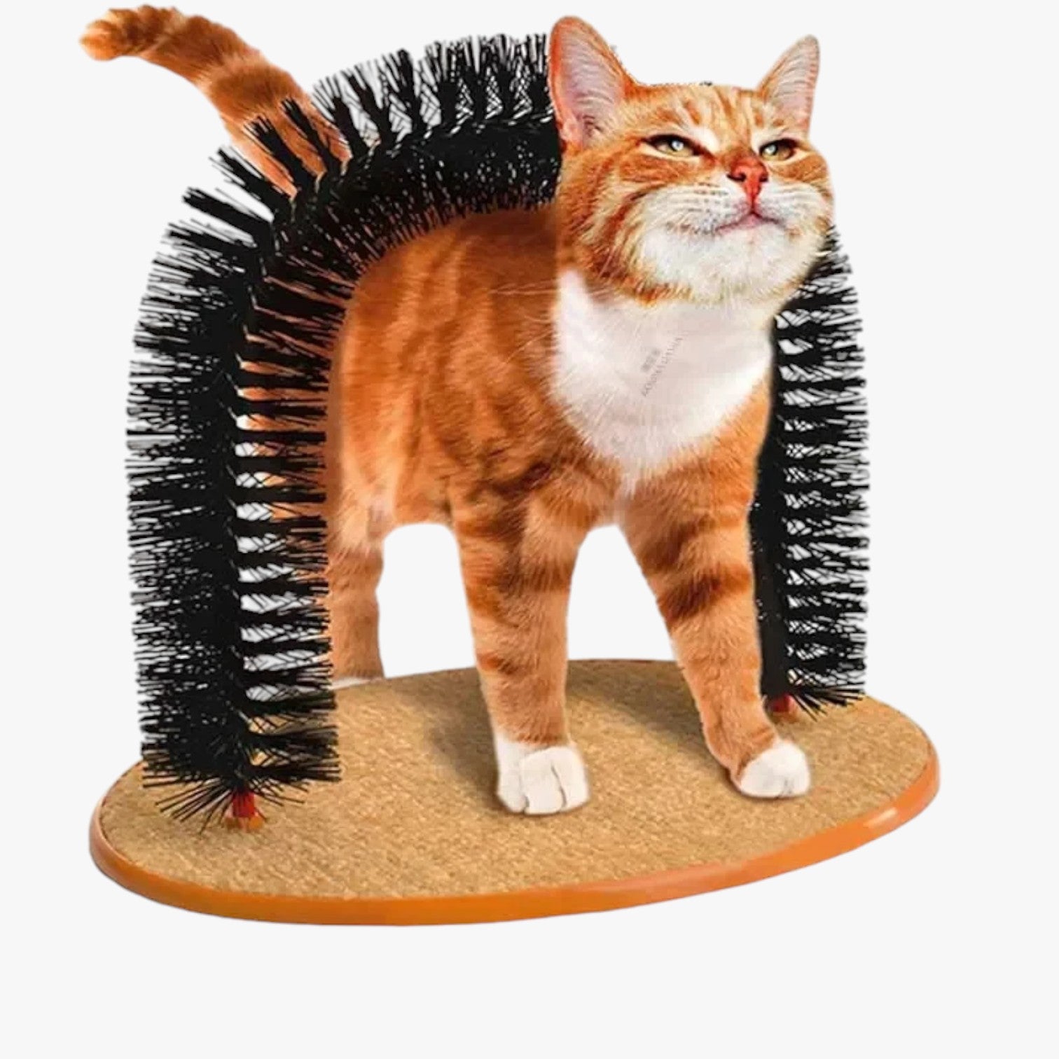 Arc de soin et de massage pour chats – Mira