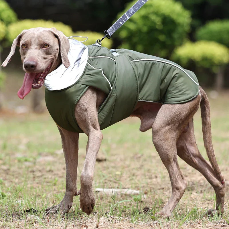 Veste d'hiver FurShield pour chien | Manteau imperméable et chaud en coton pour animaux de compagnie