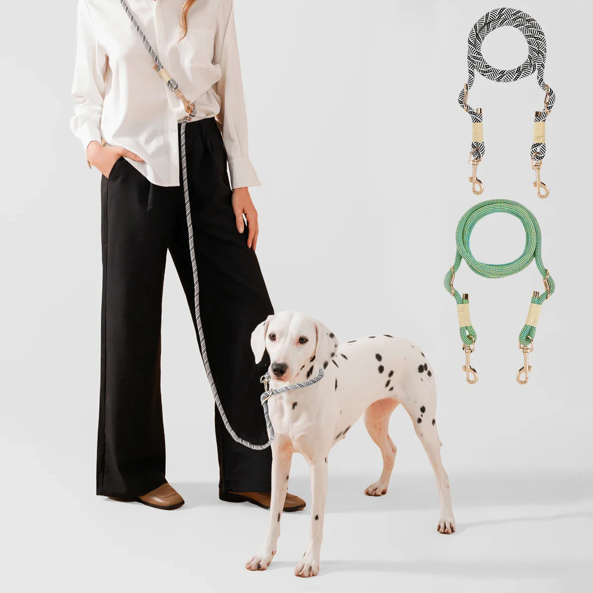 CanineLuxe | Ceinture multifonctionnelle pour une utilisation polyvalente en extérieu