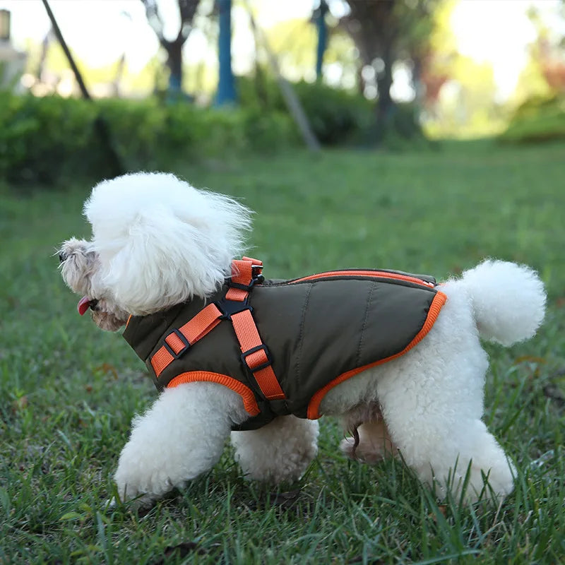 VivaPet Gilet d'hiver | Manteau imperméable avec harnais pour chihuahua, yorkshire et autres petits chiens