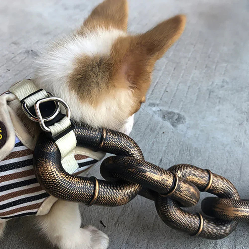 ChainLeash | La ceinture qui allie mode et fonction