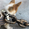 ChainLeash | La ceinture qui allie mode et fonction
