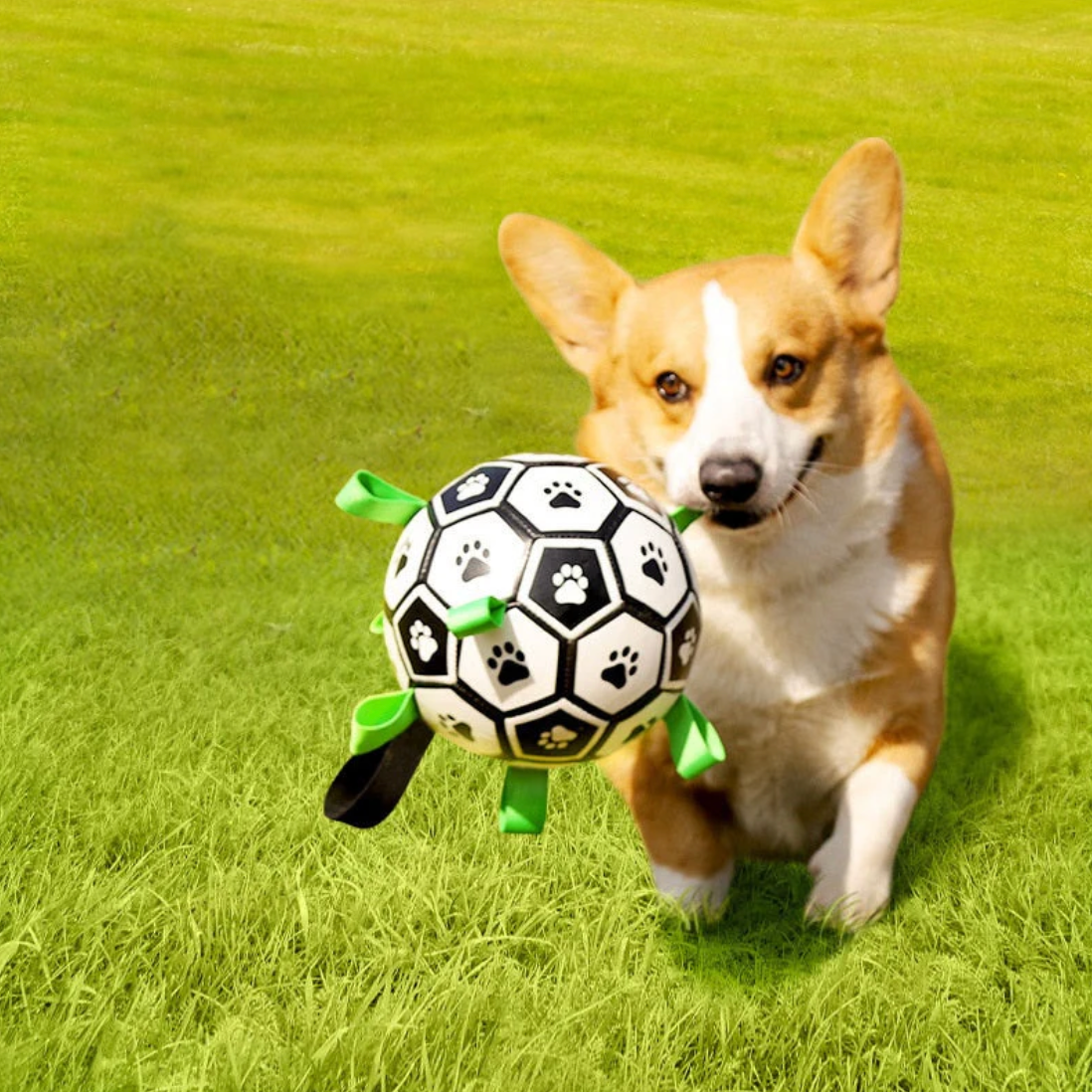 Balle de sport pour chien durable avec poignées – TugBounce