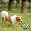 Balle de sport pour chien durable avec poignées – TugBounce