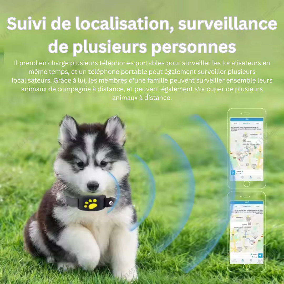 PurrLux Elite GPS Tracker for Pets | Système de suivi de luxe avec mises à jour en temps réel et garantie de sécurité