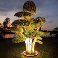 Projecteur Extérieur Pour Arbre