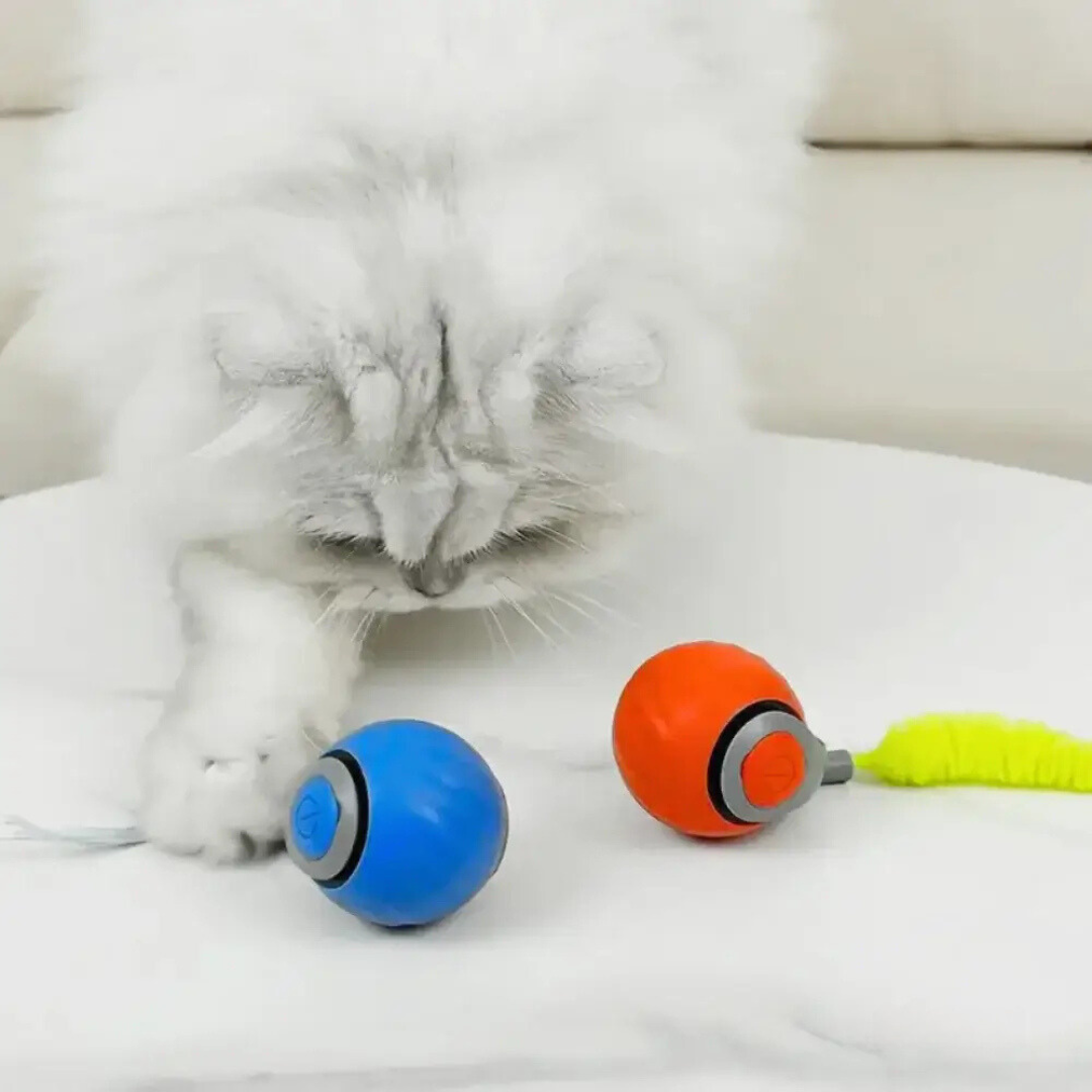 HunterMode | Le jouet conçu pour réveiller le chasseur intérieur de votre chat