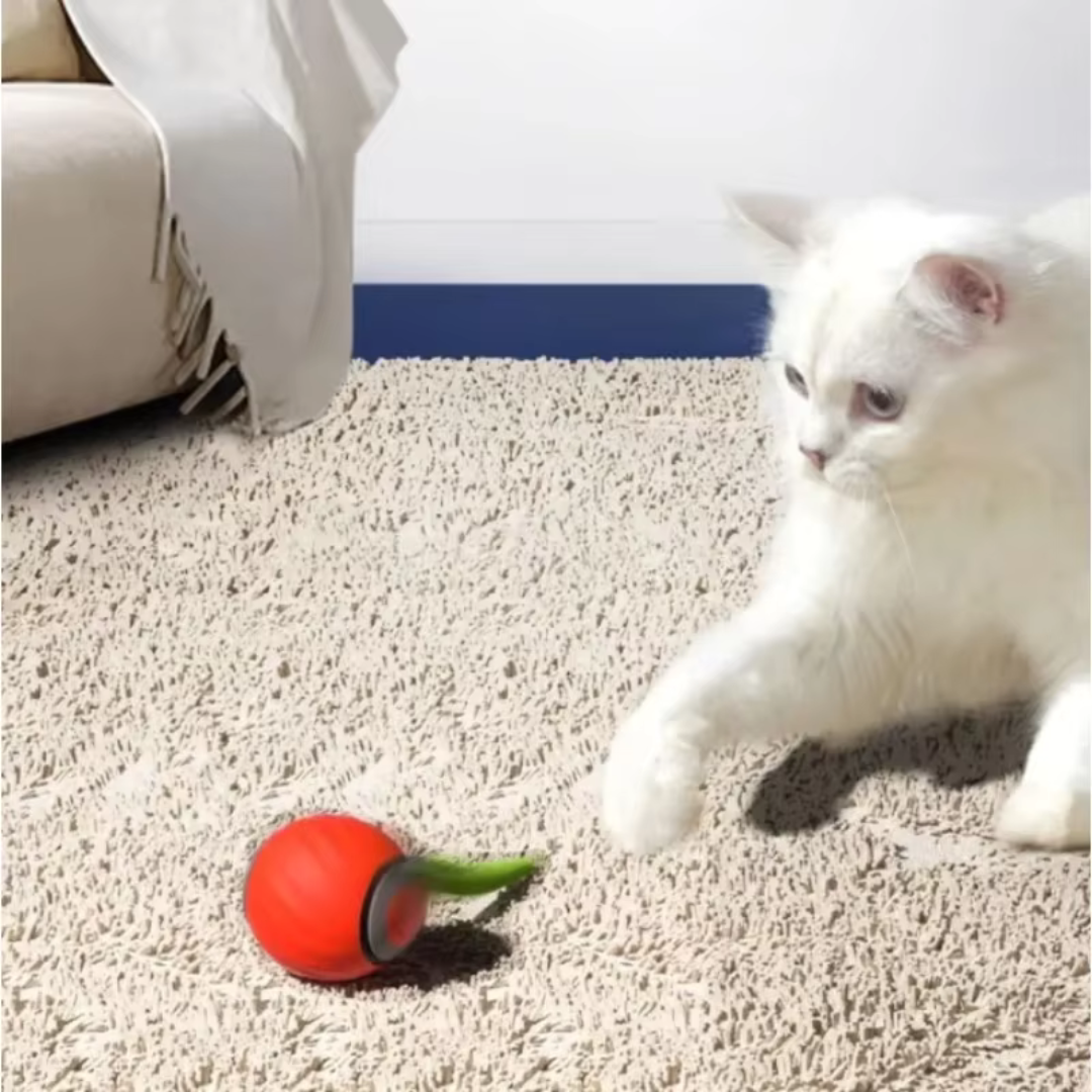 HunterMode | Le jouet conçu pour réveiller le chasseur intérieur de votre chat