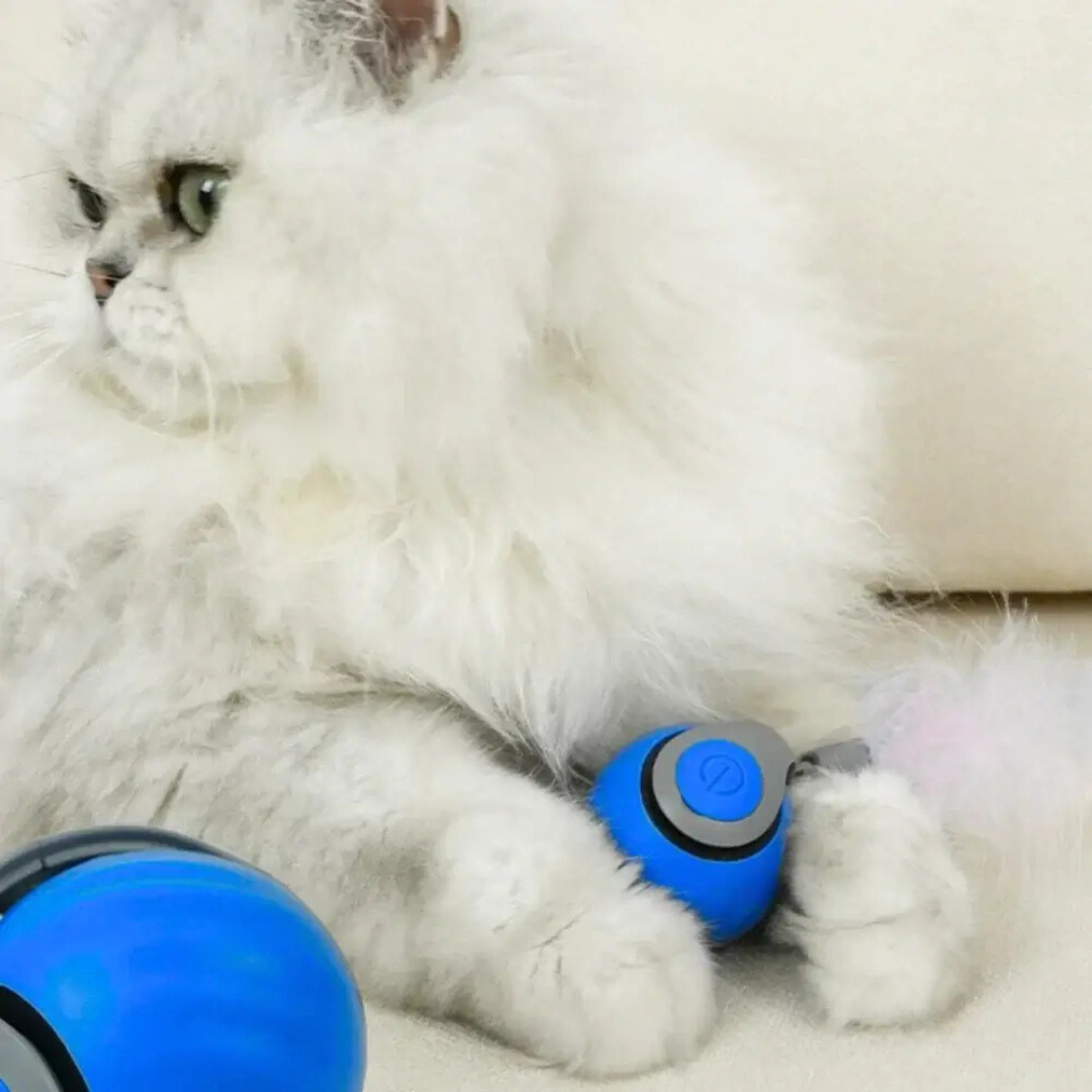 HunterMode | Le jouet conçu pour réveiller le chasseur intérieur de votre chat