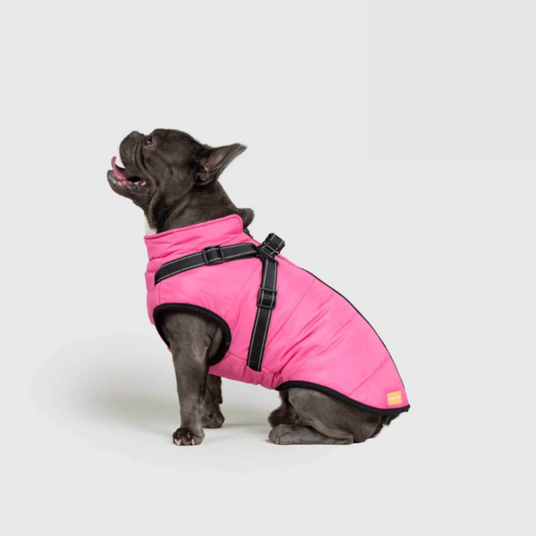 RoyalPaw Manteau d'Hiver Élégant pour Chiens | Protection et style de luxe pour les jours froids