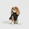 RoyalPaw Manteau d'Hiver Élégant pour Chiens | Protection et style de luxe pour les jours froids
