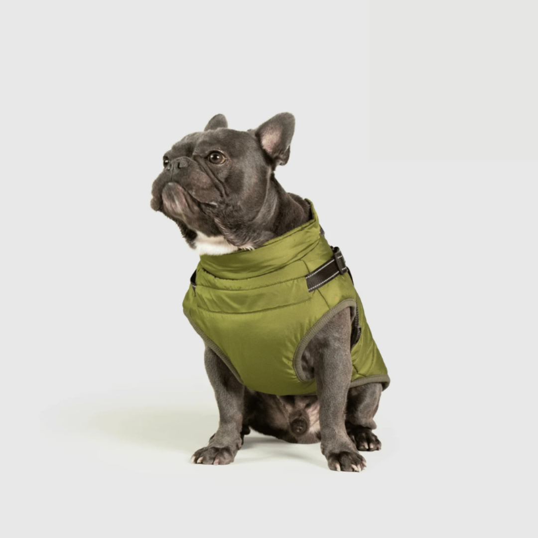 RoyalPaw Manteau d'Hiver Élégant pour Chiens | Protection et style de luxe pour les jours froids