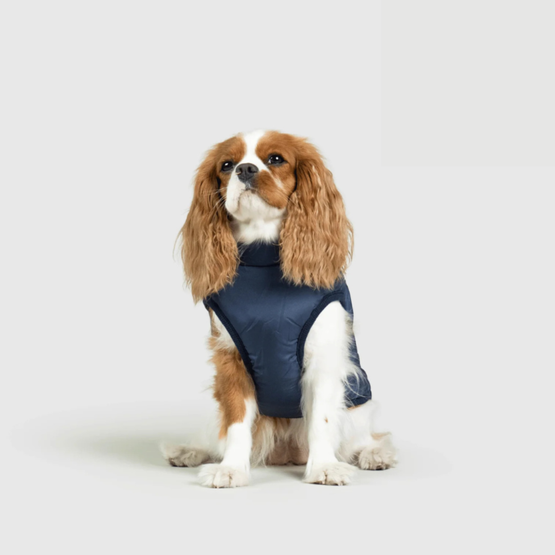 RoyalPaw Manteau d'Hiver Élégant pour Chiens | Protection et style de luxe pour les jours froids