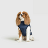 RoyalPaw Manteau d'Hiver Élégant pour Chiens | Protection et style de luxe pour les jours froids