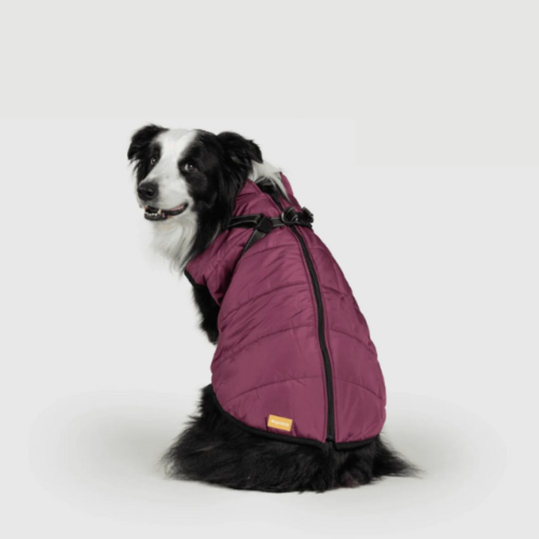 RoyalPaw Manteau d'Hiver Élégant pour Chiens | Protection et style de luxe pour les jours froids