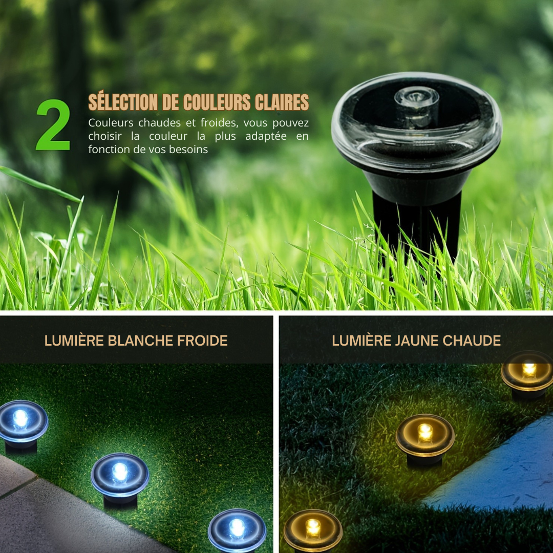 LuxeGlow Lampes de Chemin Solaires LED | Éclairage extérieur élégant pour les allées, parfait pour les événements et les célébrations