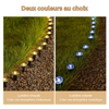 LuxeGlow Lampes de Chemin Solaires LED | Éclairage extérieur élégant pour les allées, parfait pour les événements et les célébrations