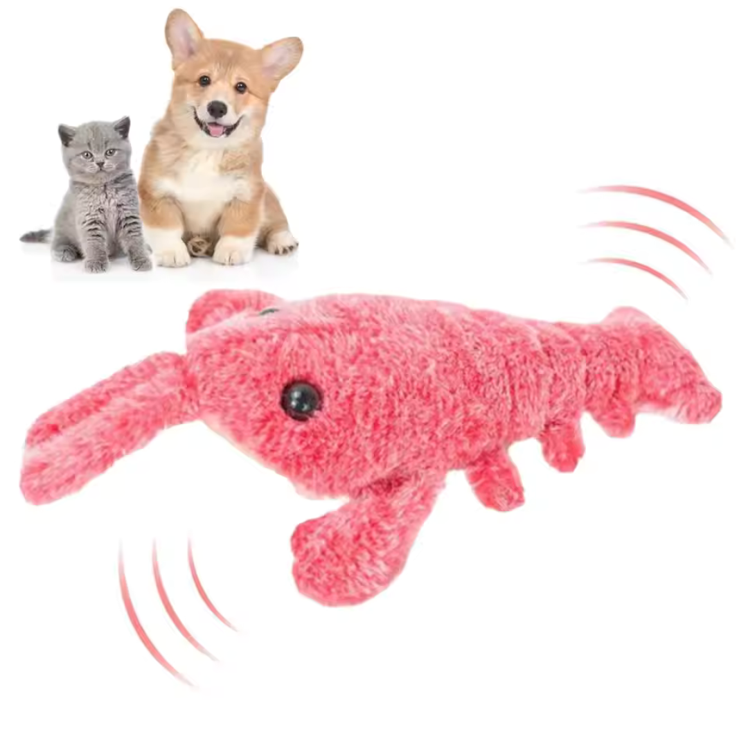 PetMotion | Gardez votre animal heureux et actif