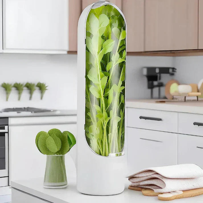 Boîte de conservation des herbes – FreshKeep