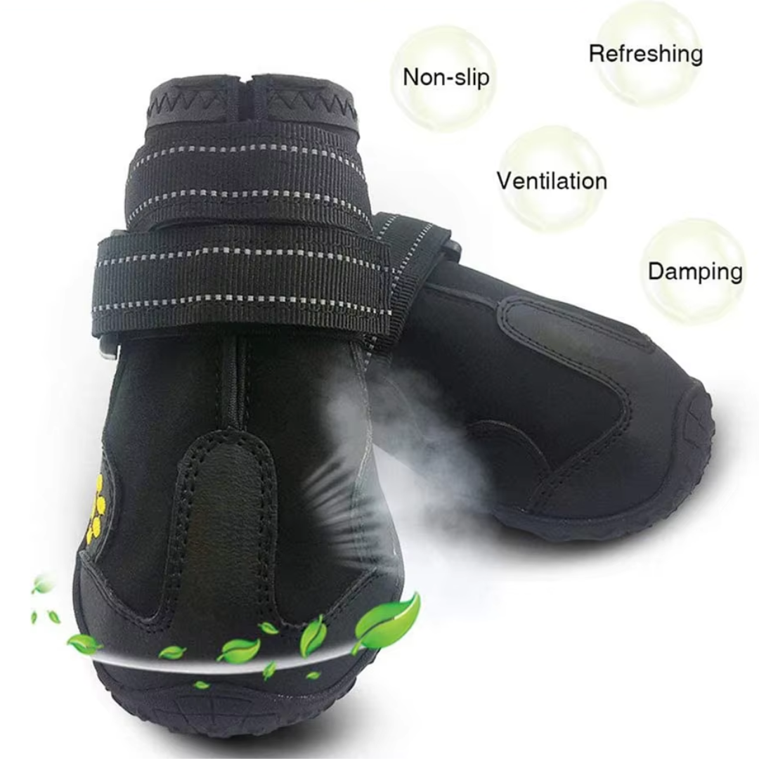 Bottes pour chiens toutes saisons pour des aventures en toute sécurité
