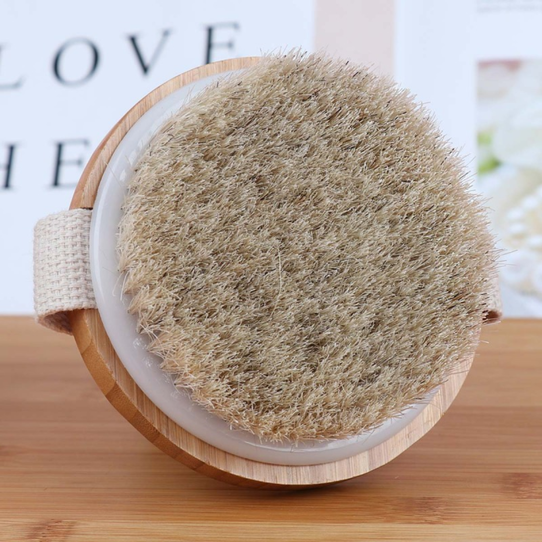 Brosse à sec écologique pour le corps