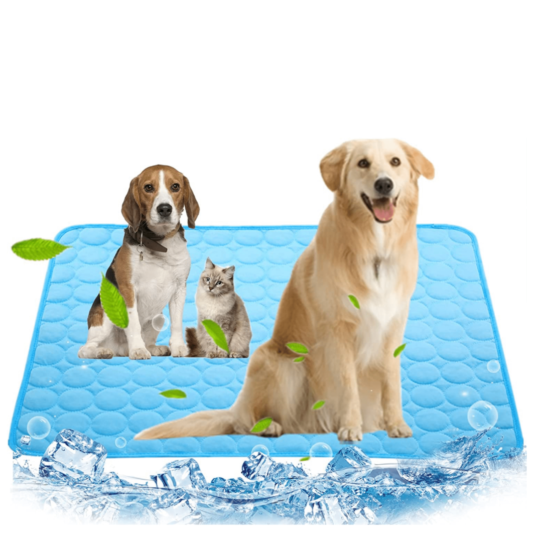 Tapis rafraîchissant pour chien - Tapis CoolPet
