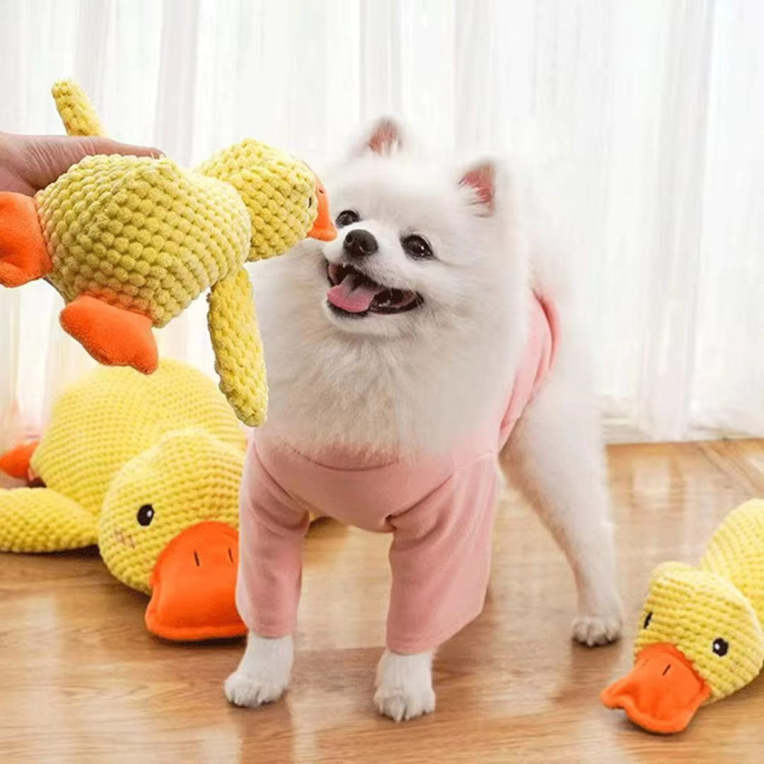 CalmQuack | Offrez à votre chien le calme et l'amusement avec les jouets apaisants en forme de canard