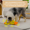 CalmQuack | Offrez à votre chien le calme et l'amusement avec les jouets apaisants en forme de canard