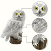 LuxeAura Lumière de Jardin Solaire LED Hibou | Transformez votre jardin avec une illumination enchanteresse pour une ambiance sereine