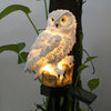 LuxeAura Lumière de Jardin Solaire LED Hibou | Transformez votre jardin avec une illumination enchanteresse pour une ambiance sereine
