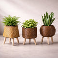 Pot de fleurs pour intérieur et extérieur | Cache-pot avec pieds | Pot de plantation | Virella