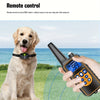 Smart Trainer Pro – Collier de Dressage Rechargeable avec Télécommande pour Chiens avec Bip & Vibration