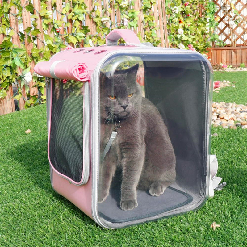 Transporteur pour animaux de compagnie – Pour des voyages confortables avec votre animal