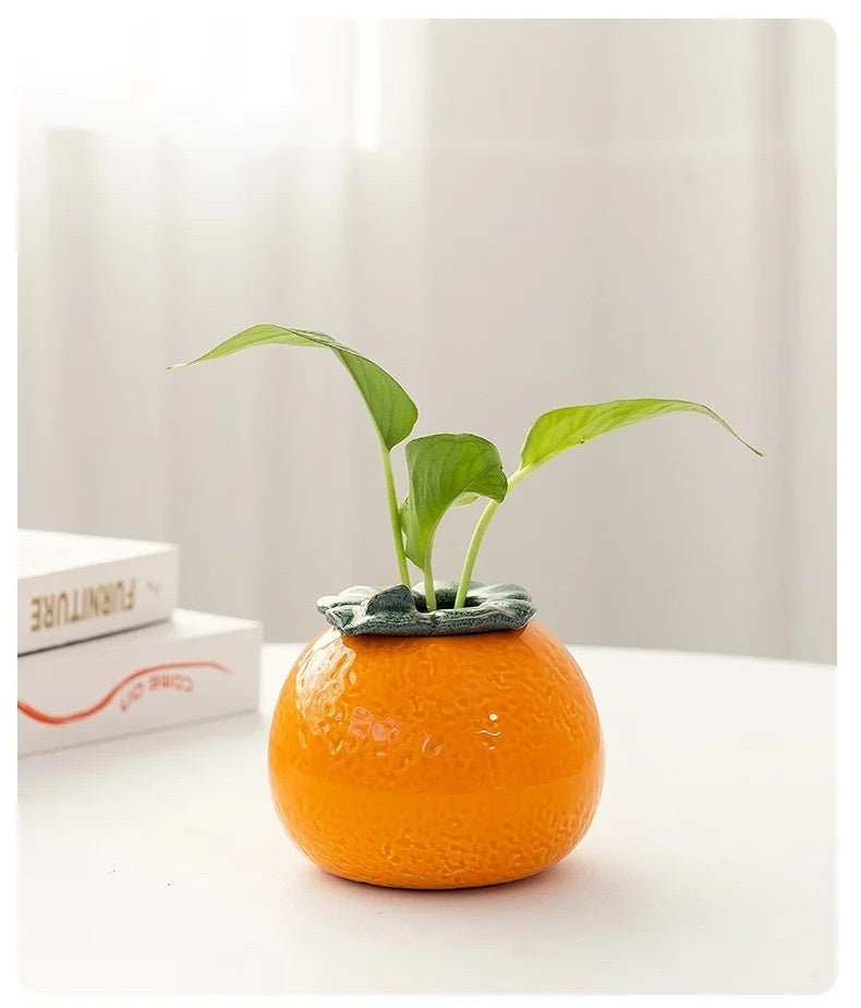 Vase de Table Hydroponique en Céramique Orange – Pot à Succulentes et Fleurs Élégant pour Décoration Intérieure Moderne